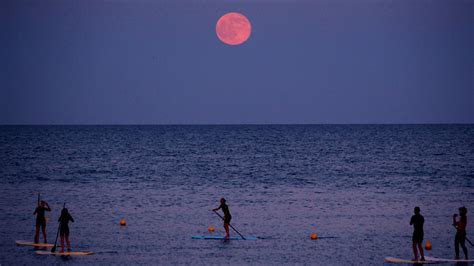 June Full Moon Guide 2022 Feast Your Eyes On The Strawberry Supermoon