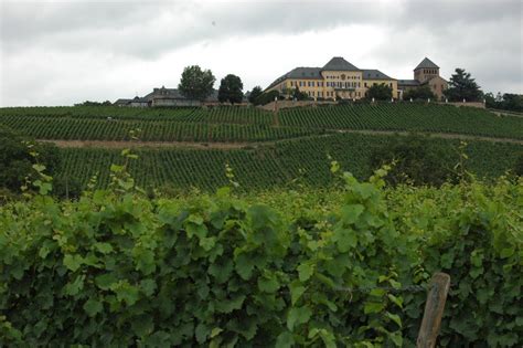 BMyWine: Schloss Johannisberg