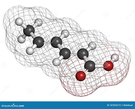 Sorbic Acid Food Preservative Molecule Sorbate Sodium Potassium