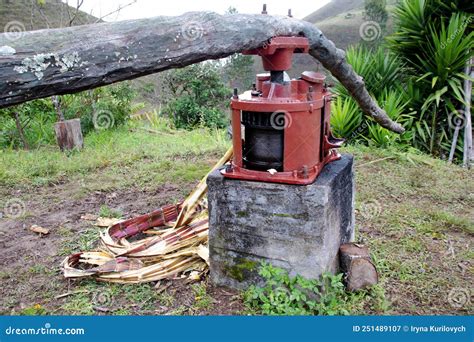 Simple Sugar Cane Press Machine Stock Image Image Of Green Outdoor