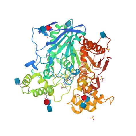 Rcsb Pdb 6qab Human Butyrylcholinesterase In Complex With S N 1 2 Cycloheptylethylamino