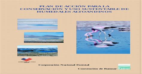 Plan De Acci N Copia Plan De Accion Para La Conservacion Y Uso