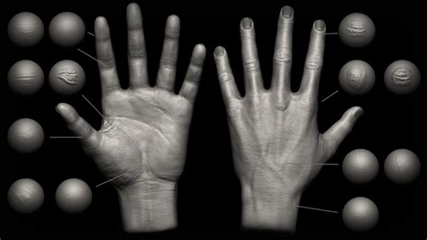 Hand Details Brush Alphas Flippednormals