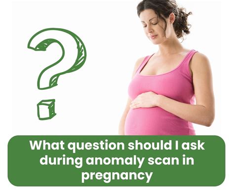 Anomaly Scan In Pregnancy 3 Important Questions To Ask During Your Scan