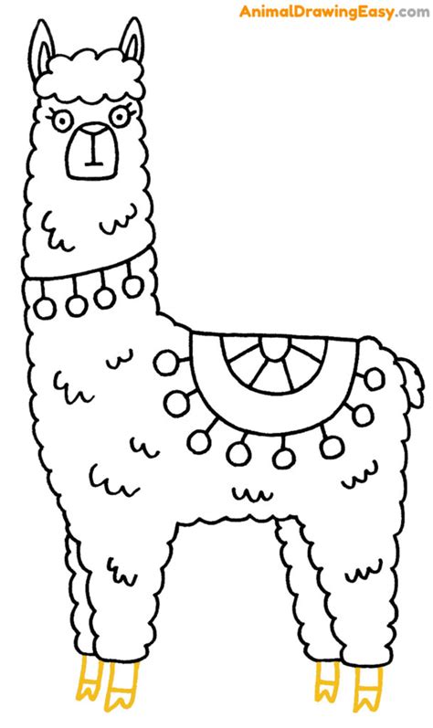 How to Draw an Alpaca - Animaldrawingeasy.com