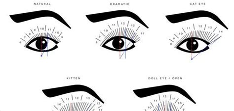 Eyelash Extension Chart Curl Diameter And Lengths Bl Lashes Artofit