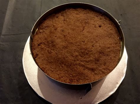 Torta Bavarese Al Pistacchio E Cioccolato Bianco Pasticci Di Bollicine