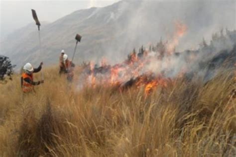 Pasco Incendio Forestal Arrasa Con Pastizales De Ichu En Distrito De