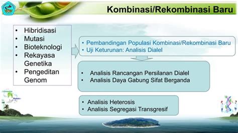 Pemuliaan Tanaman Dan Analisis Genetik Pptx