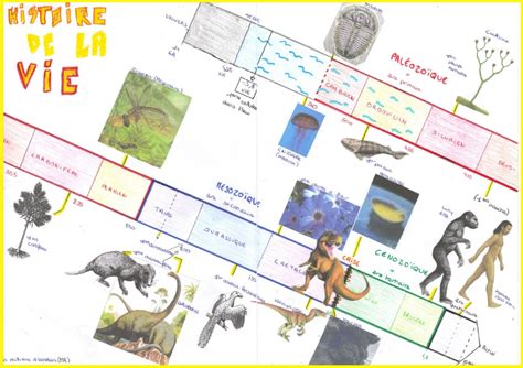 Evolution Des Organismes Et Histoire De La Terre Cours SVT Vive Les