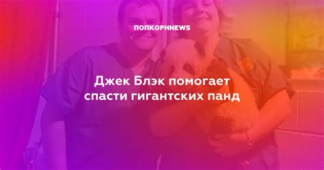 Джек Блэк помогает спасти гигантских панд
