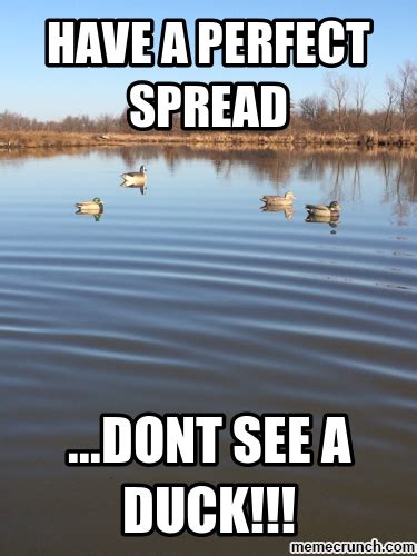 Duck Hunting Memes