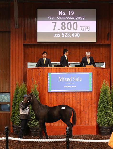 【ミックスセール】ダービー馬ドウデュース半弟は8600万円、当歳上場38頭すべて落札／詳細 競馬ライブ速報写真ニュース 日刊スポーツ