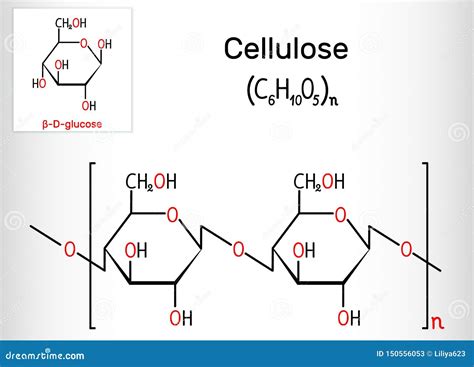 Cellulose Vector Illustration | CartoonDealer.com #247695366