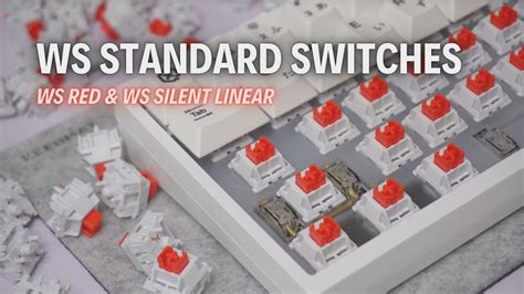 Ws Red X Ws Silent Linear Ws Standard Switches Series Youtube