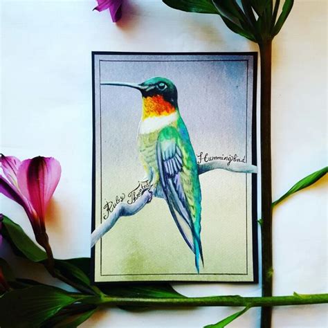 Ruby-throated Hummingbird 5x7 Colored pencil 10•22•16 | Ruby throated ...