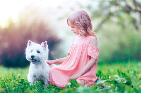 Benef Cios Da Conviv Ncia De Crian A Cachorro E Intera Es Que