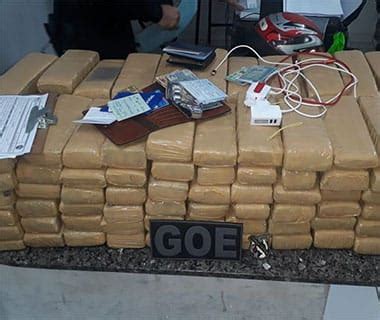 Polícia apreende 100 kg de maconha avaliados em R 30 mil que viriam