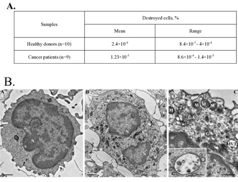 Analysis Of Membrane Integrity After Blood Cell Treatment A