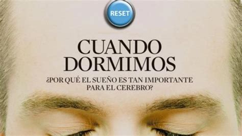 ¿qué Pasa En El Cerebro Mientras Dormimos