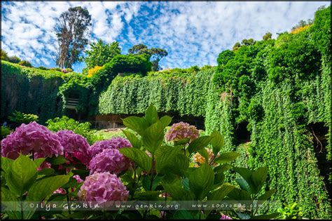 Пещерный Сад Cave Gardens Маунт Гембер Mount Gambier Южная