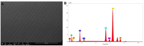 Environmental scanning microscopy morphological analysis on a (A ... 