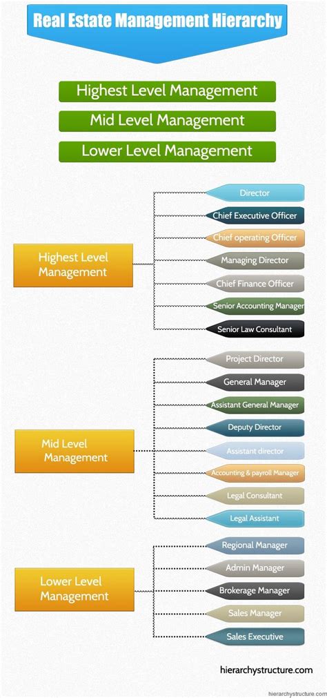 Real Estate Management Hierarchy Diagram