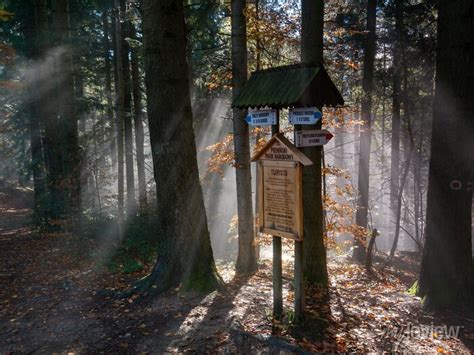 Pieninski Park Narodowy Szlak Na Trzy Korony Pinturas Para A Parede