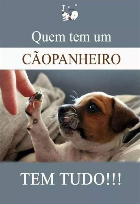 Pin De Leni Gontijo Barbosa Em Frases Frases De Cachorro Mensagens