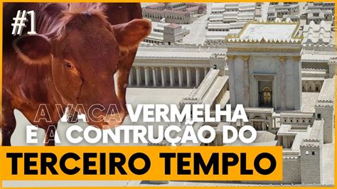 O surgimento da NOVILHA VERMELHA e a Construção do TERCEIRO TEMPLO