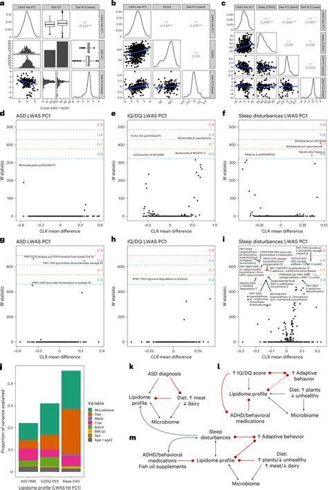 Relationships Between Neurodevelopmental Traits Their Lipidome