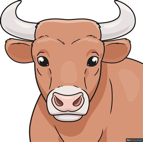 Easy Bull Head Drawing