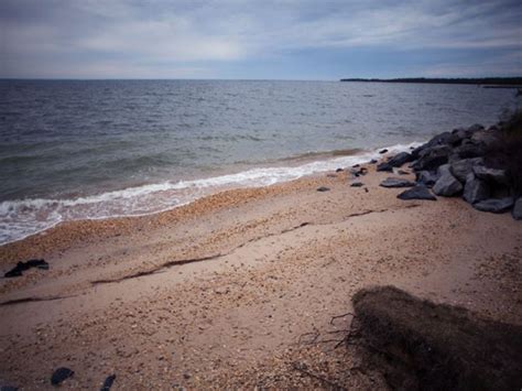 The Mass Grave of Point Lookout Lighthouse