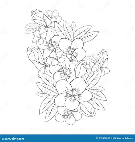 Plumeria Flower Line Art Sketch With Outline Stroke Of Doodle Coloring