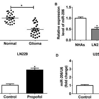 Propofol Inhibits The Migration Invasion And Pi K Akt Pathway