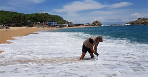 Arranca SSM Muestreo A Las 13 Playas Michoacanas