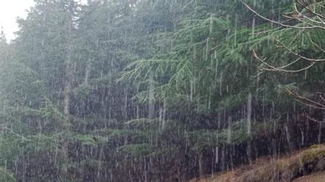 Allerta Meteo Per Temporali A Ferragosto In Gallura E Logudoro