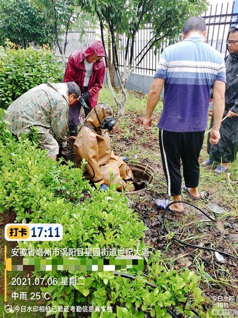 通过暗管排放生产废水 亳州一粮油有限公司被查凤凰网安徽凤凰网