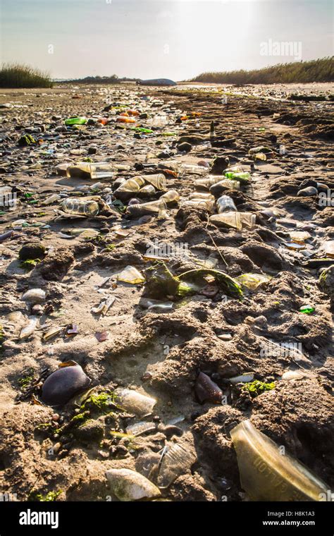 Glass Bottles Covering Beach In Brooklyn New York City Dead Horse Bay