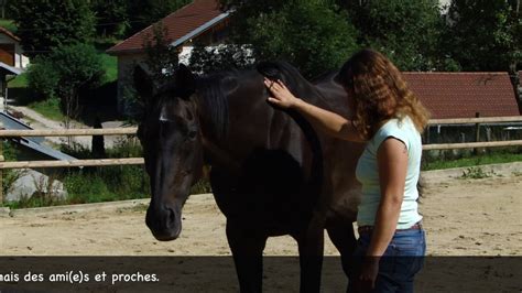 Thérapie par cheval et hypnose YouTube