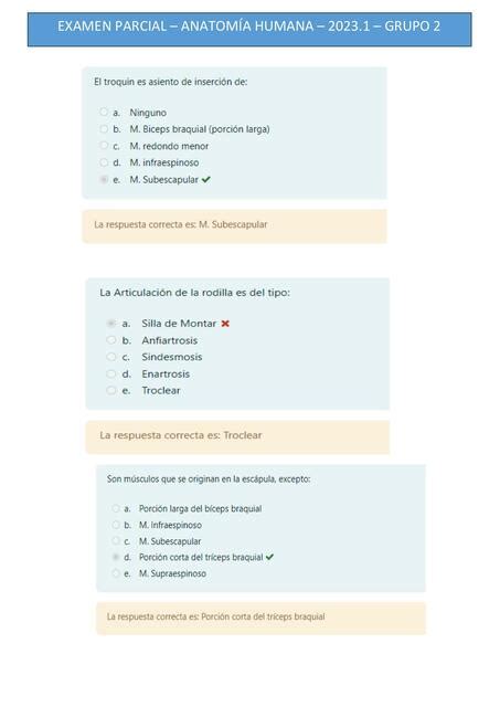 Examen Parcial Anatom A Humana Grupo Briggitte Yamil