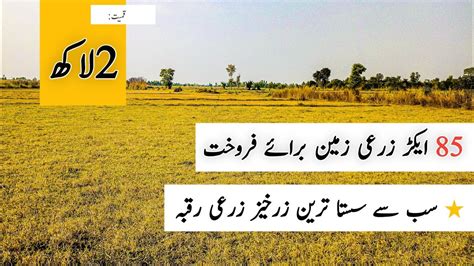 85 Acer Zari Zameen For Sale Agriculture Land For Sale In Punjab