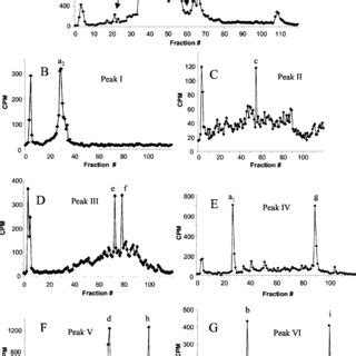 C Rp Hplc Separation Of S Labeled Tryptic Peptides Of Alkylated