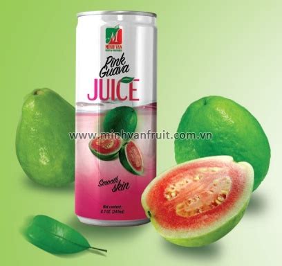 Canned Pink Guava Juice Vietnam Canned Fruit Vegetable IQF Frozen