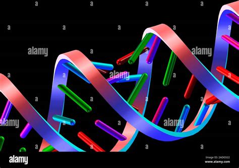 Dna Helix Computer Artwork Of Part Of A Strand Of Dna