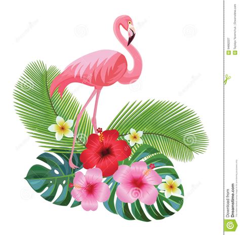 Composición Y Flamenco Tropicales Ilustración Del Vector Imagenes De Flamencos