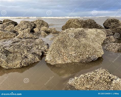 Barnacle Covered Rocks Stretching Out Into Rough Ocean Stock Image