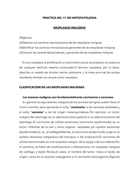 Neoplasias Malignas Practica No De Histopatologia Neoplasias