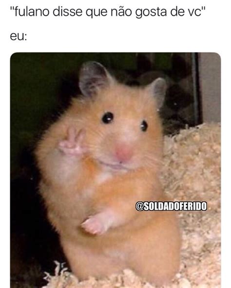 Fulano Disse Que N O Gosta De Vc Eu Memes