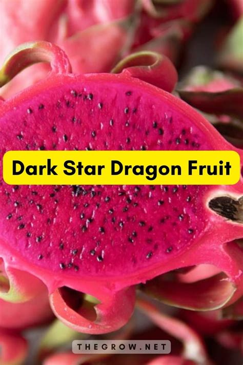 18 Common and Rare Dragon Fruit Varieties (With Pictures) | TheGrow